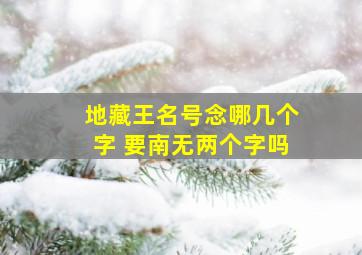 地藏王名号念哪几个字 要南无两个字吗